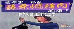 藤条焖猪肉是什么意思