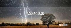 暴雨的危害