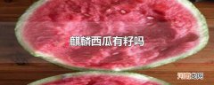 麒麟西瓜有籽吗