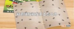 粘苍蝇胶粘在手上怎么办