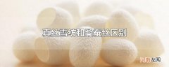 真丝雪纺和桑蚕丝区别