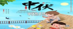 中伏热不热