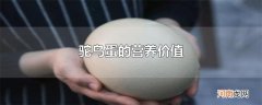 驼鸟蛋的营养价值
