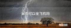 暴雨可以坐飞机吗