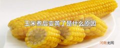 玉米煮后变黄了是什么原因