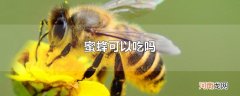 蜜蜂可以吃吗