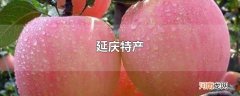 延庆特产