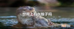 世界上有水猴子吗