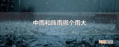 中雨和阵雨哪个雨大