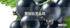 黑加仑怎么吃