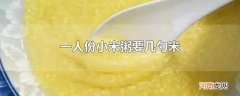 一人份小米粥要几勺米