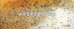 大米变黑了是什么原因