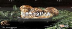 松茸为什么那么贵