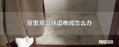 屋里潮湿味道难闻怎么办