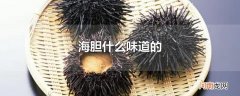 海胆什么味道的