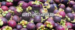 山竹5a和3a的区别