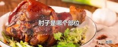 肘子是哪个部位