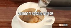 咖啡加牛奶就是拿铁吗