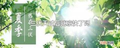 三伏天过后就凉快了吗