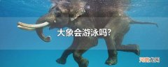 大象会游泳吗?