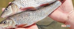鱼的吃法