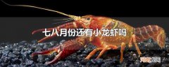 七八月份还有小龙虾吗