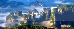 湖南特产