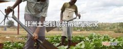 非洲土地到底贫瘠还是肥沃