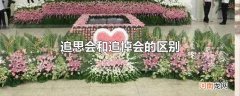 追思会和追悼会的区别