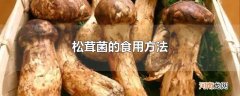 松茸菌的食用方法