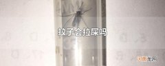 蚊子会拉屎吗