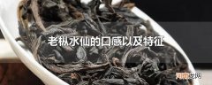 老枞水仙的口感以及特征