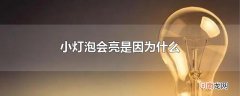 小灯泡会亮是因为什么