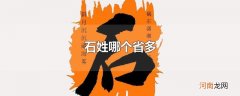 石姓哪个省多