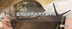 盐可以杀死非洲大蜗牛吗
