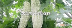 苦瓜怎么长期保存