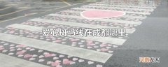 爱心斑马线在成都哪里