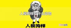 人模狗样指什么动物