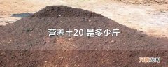 营养土20l是多少斤