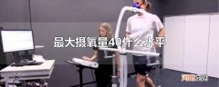 最大摄氧量40什么水平