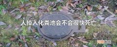 人掉入化粪池会不会很快死亡