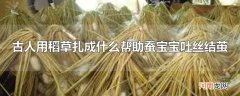 古人用稻草扎成什么帮助蚕宝宝吐丝结茧