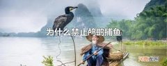 为什么禁止鸬鹚捕鱼