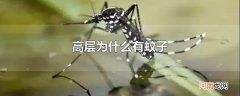 高层为什么有蚊子