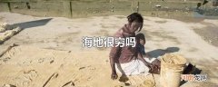 海地很穷吗