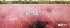 粉色代表什么