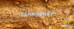 怎么判断河里有金子