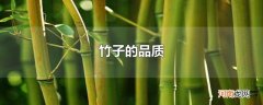 竹子的品质