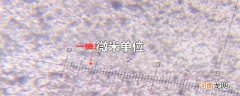 微米单位
