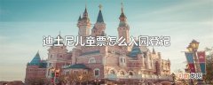 迪士尼儿童票怎么入园登记